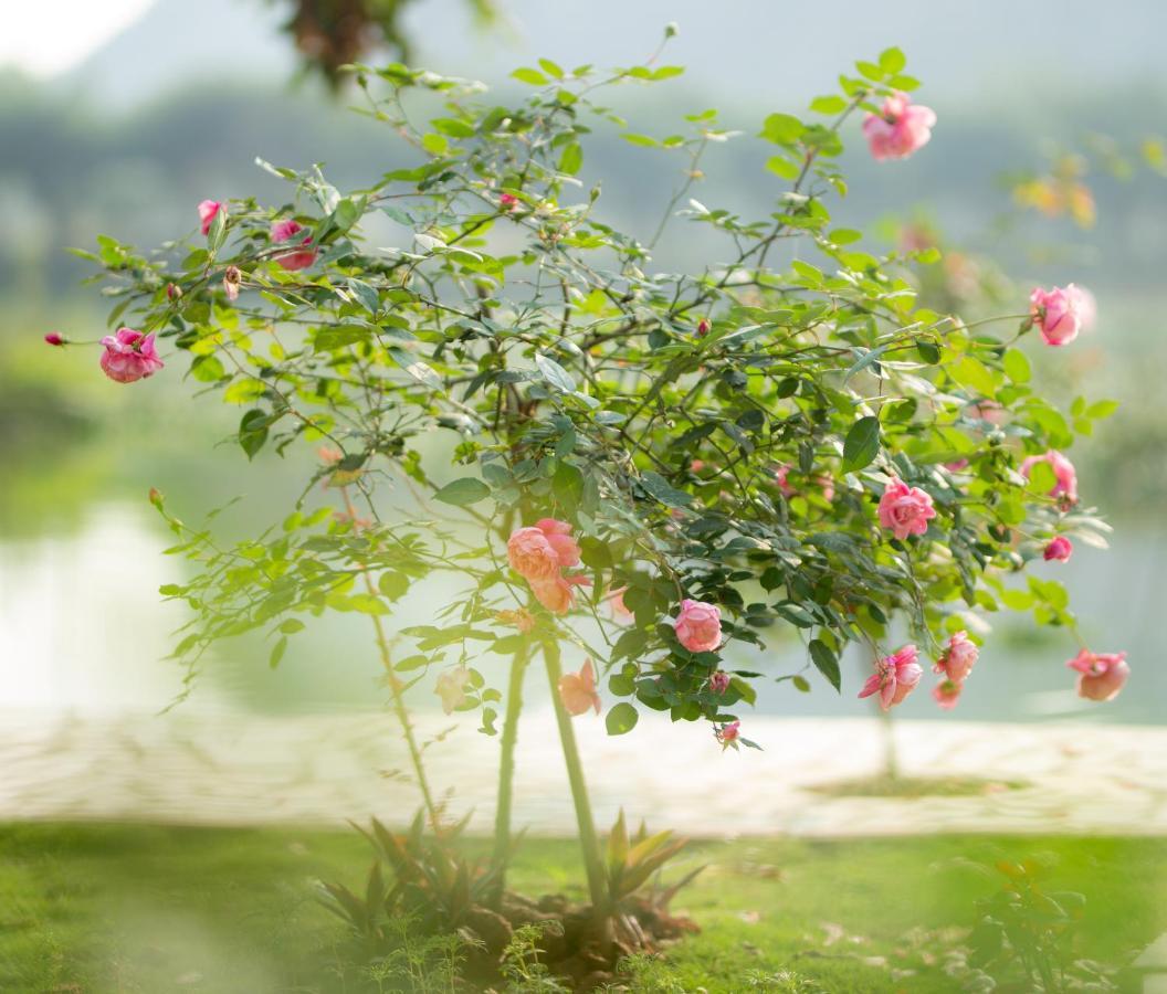 Serena Riverside Homestay - Trang An Ninh Binh Zewnętrze zdjęcie